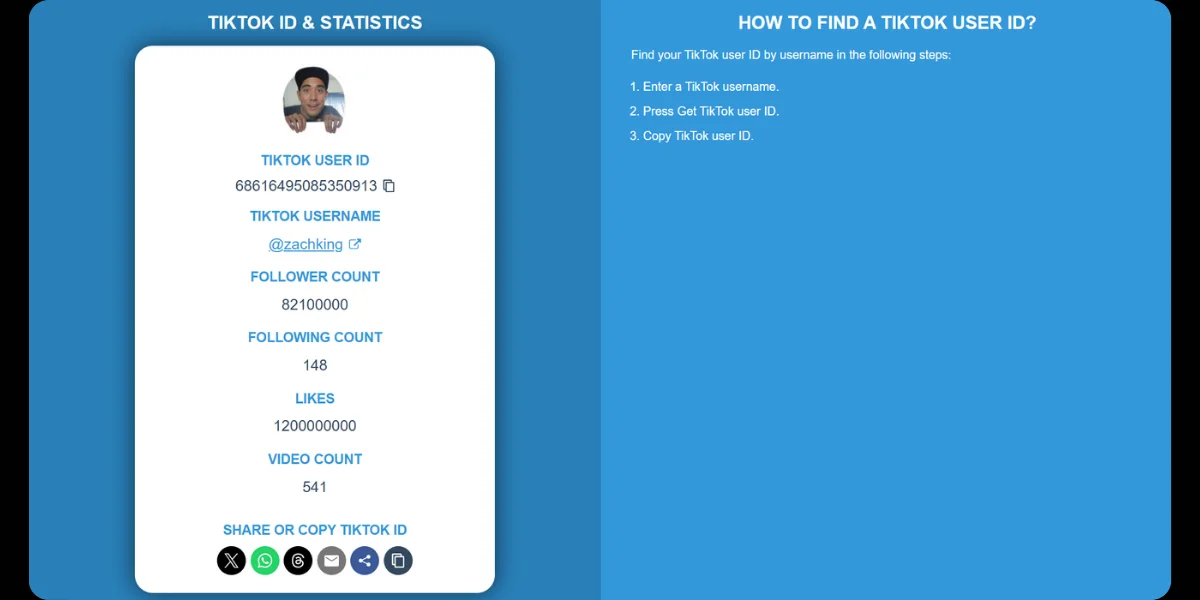 Steps to use a TikTok Account Finder