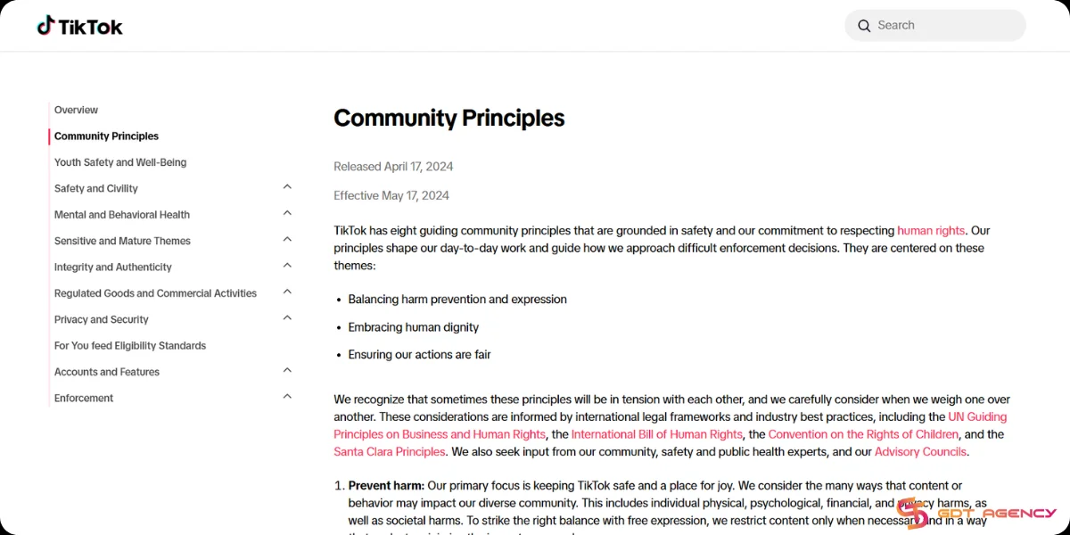 TikTok's community principles