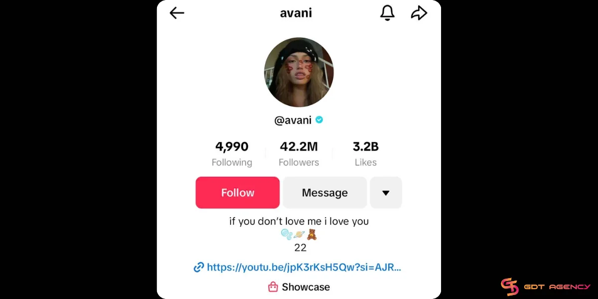 Avani TikTok bio