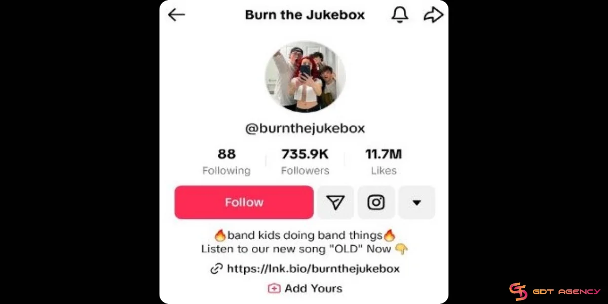 Cool TikTok bio example of Burn the Jukebox