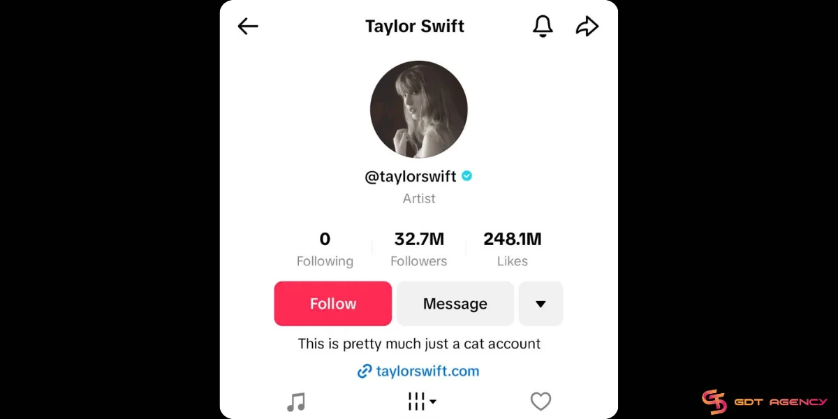 Funny TikTok bio by Taylor Swift