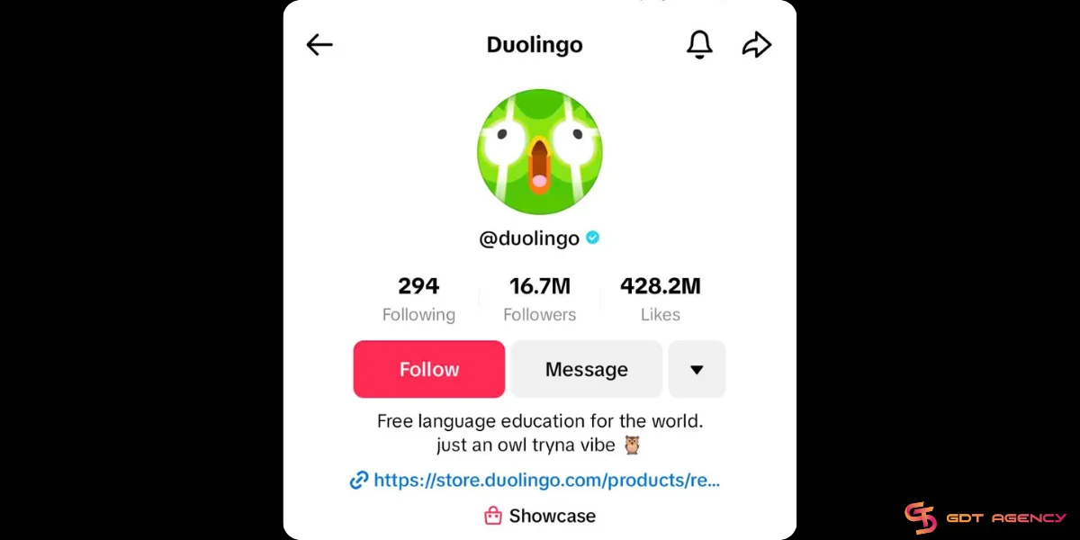 Good bio for TikTok example by Duolingo