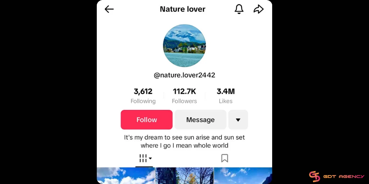 Nature lover TikTok bio