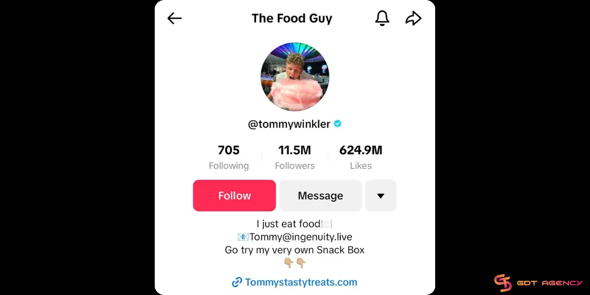 The food guy TikTok bio