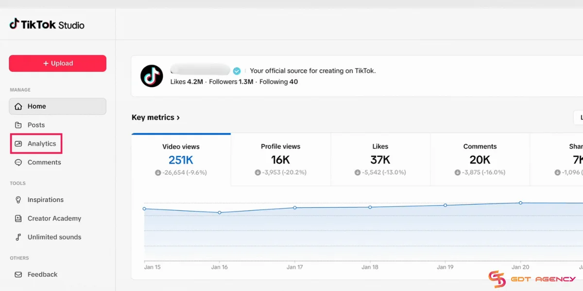 TikTok Studio Analytics