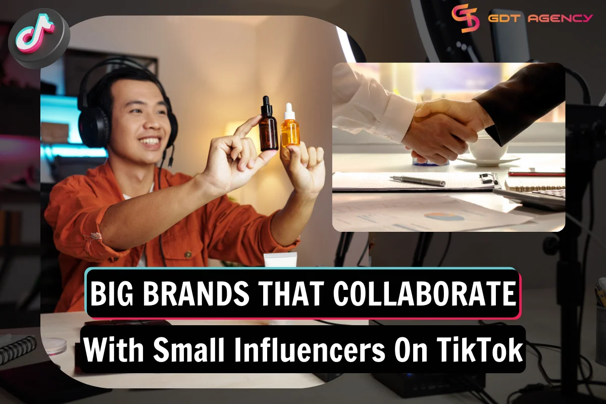 Big Brands That Collaborate With Small Influencers On TikTok
