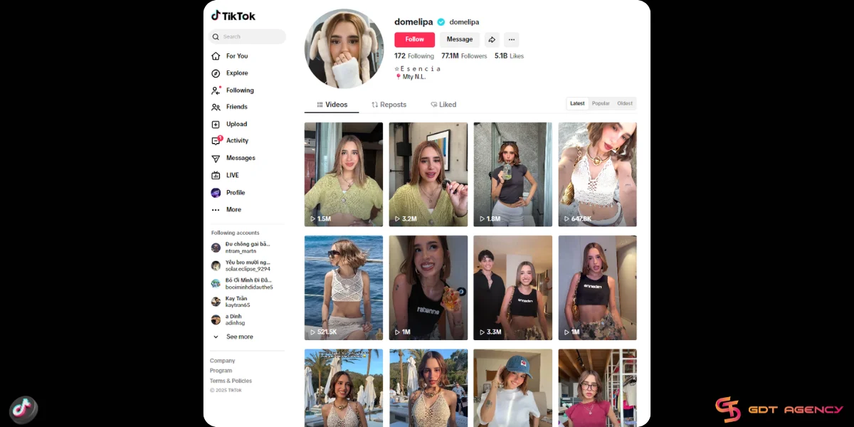 Domelipa (Dominik Lipa)