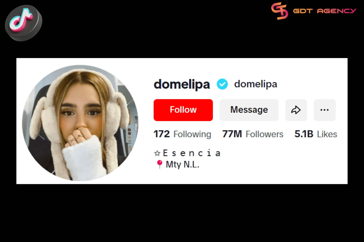 Domelipa