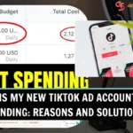 Why is My New TikTok Ad Account Not Spending: Reasons and Solutions?
