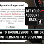 How To Troubleshoot a TikTok Ad Account Permanently Suspended 2025