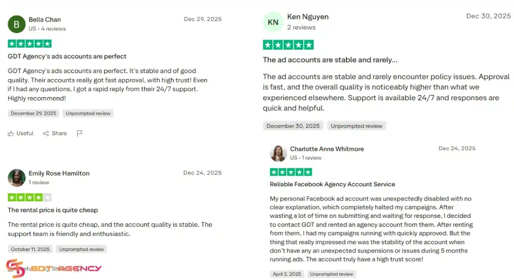 Should I Build My Own Business Manager or Rent An Agency Ad Account? 4 What-is-facebook-agency-account
