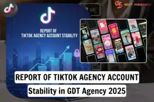 Internal-Report-of-TikTok-Agency-Account-Stability